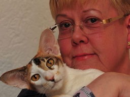 Webinar: Die richtige Katzentoilette