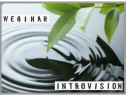 Webinar: Infoabend "Qualifizierungskurse Introvision"