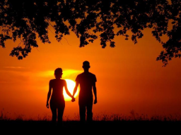 Webinar: Wie du zum Magneten deines Traumpartners wirst!
