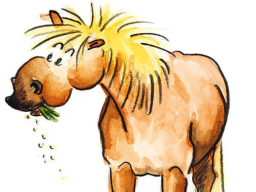 Webinar: Purzel hat immer Hunger - Fressverhalten robuster Rassen