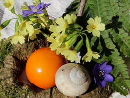 Webinar: DAS JAHRESKREISFEST OSTARA - Beginn des Frühlings