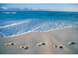 Webinar: Erfolg 2012