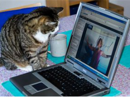 Webinar: Nacken / Schulter