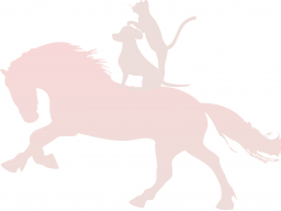 Webinar: Laborbefunde lesen und auswerten
