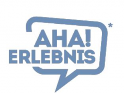 Webinar: Cyber-Krisenmanagement >>> Praxis Beispiele