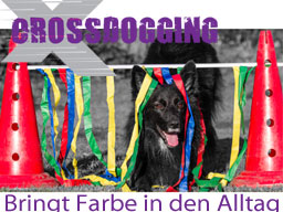 Webinar: Richterschulung Crossdogging
