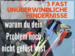 Webinar: Kennst du diese 3 Hindernisse, warum du dein Problem noch nicht gelöst hast?