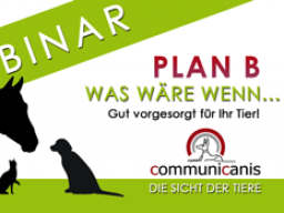 Webinar: Plan B - was wäre wenn... ?