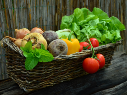 Webinar: Gesunde Ernährung Teil I