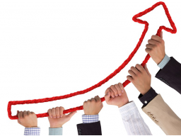 Webinar: TEAMS besser und erfolgreich führen