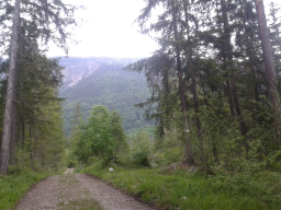 Webinar: Nordic Walking