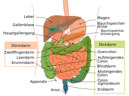 Webinar: Darm-Stoffwechsel, Leaky Gut etc... Hier gibt`s die Info`s