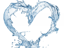 Webinar: Sich basisch trinken. Einfach intelligent oder Humbug?