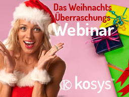 Webinar: Das große Weihnachts Überraschungs Webinar