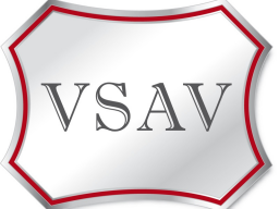 Webinar: Die bAV vor (dem Arbeits-)Gericht