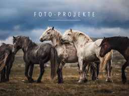 Webinar: Fotoprojekte planen, durchführen & vermarkten