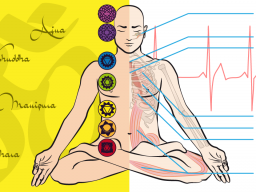 Webinar: Yogatherapie - Faszien Yoga Teil 1