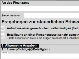 Webinar: Steuerlicher Fragebogen