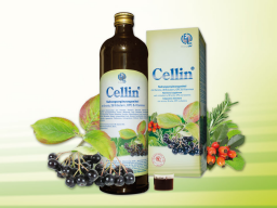 Webinar: Cellin® Die Vitalstoffbombe aus der Natur