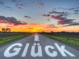 Webinar: Lebensaufbaucoaching - 4 Wege...weg vom Burnout in ein neues Leben.