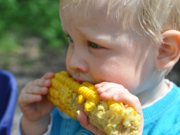 Webinar: "Mama, das schmeckt mir nicht" - Wie wir unsere Kinder unbewusst konditionieren