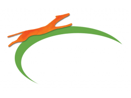 Webinar: Jahreskurs Basiswissen Psychiatrie und Psychotherapie
