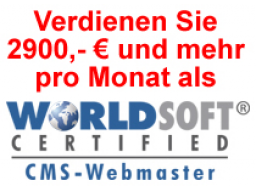 Webinar: Erfolg-Reich als Webmaster