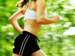 Webinar: Fitness Crash-Kurs by coachXpert®