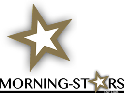 Webinar: Erfolgreich Netzwerken (ein Morning-Stars-Webinar)