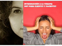 Webinar: Introducción al programa basado en DBT