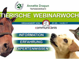 Webinar: Allergien beim Hund (Annette Dragun)