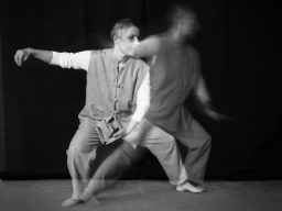 Webinar: Tai-Chi-GODO® Teil 6