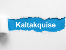Webinar: Die fünf Geheimnisse der effizienten Kaltakquise!