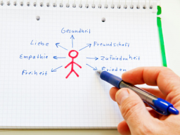 Webinar: HPP-Symptom-Seminar (Modul 2 mit 5 Terminen)