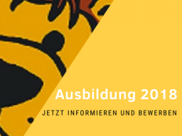 Webinar: LÖWENSTARK-Trainerin werden!