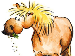 Webinar: Fütterung von Quarterhorses