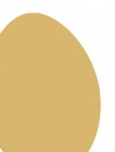 Ausbilder