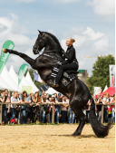 ShowReitSchule Rabea Schmale