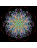 avatatcoach