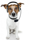 Hundetrainer Netzwerk