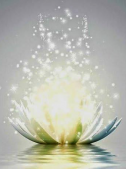 Spirituelle Lebensberatung Spirituelle Heilerin und Seminarleiterin Fernenergieübertragungen Rosemarie Krömer
