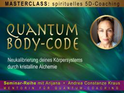 Quantum-Body-Code: Teil 4. Verdauungssystem