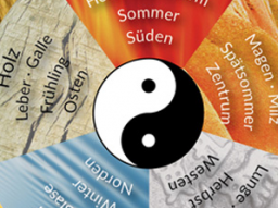 Webinar: Vortrag von Frau Li über TCM und das Magen-Milzsystem