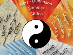 Webinar: Guter Schlaf für Gesundheit - Vortrag mit Frau Li