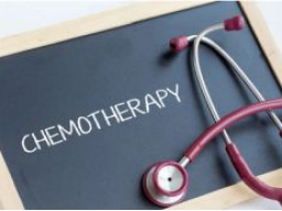 Hundeernährungsberater / Gesundheitsberater*in, Block 12 Epilepsie und Neoplasie