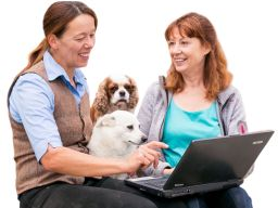 Webinar: Gesundheitsberater für Hundeernährungsberater Teil VIII
