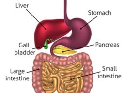 Ausbildung HEB / Gesundheitsberater*in, Block 10 Pankreas, -erkrankungen, Diätetik