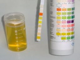 Ausbildung Pferdeernährungsberater/in Block VII, Erkrankungen Laborwerte