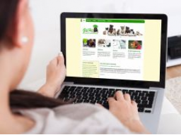 kostenloser Infoabend zur Ausbildung Hundeernährungsberater/Gesundheitsberater