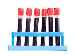 Hundeernährungsberater / Gesundheitsberater*in, Block 13 Labordiagnostik